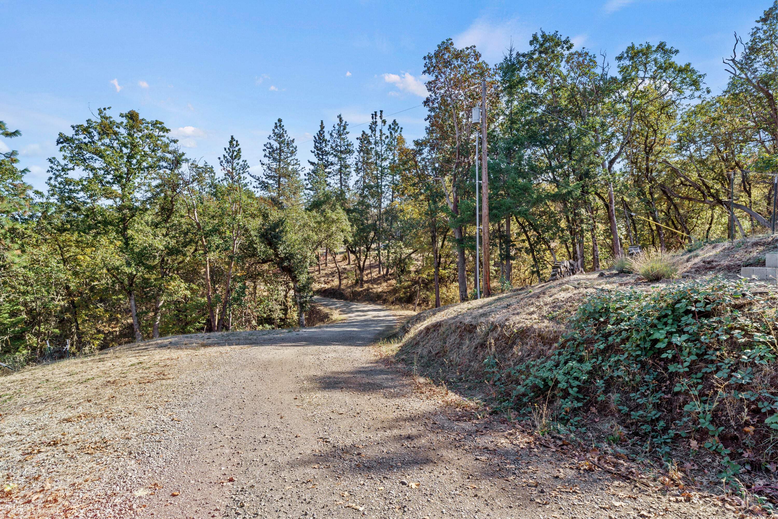 4871 Old Stage Road Central Point, OR 97502 - Photo 45 of 48 Coming up the driveway