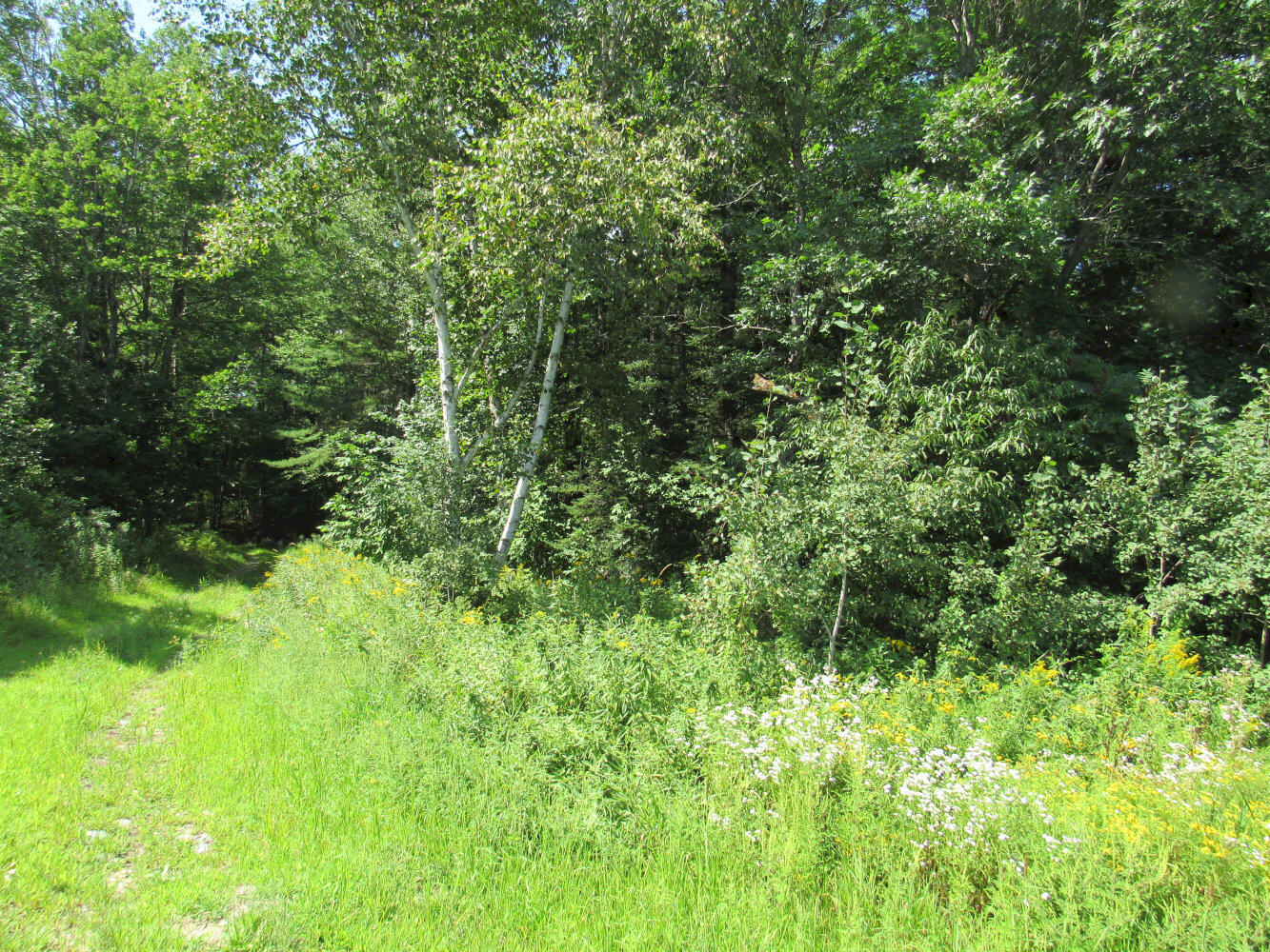 18 Sandy River Road Starks, ME 04911 - Photo 20 of 21 IMG_3282_result