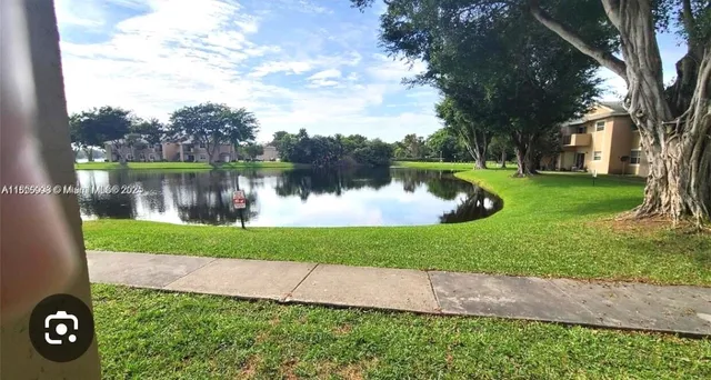 a view of a lake in front of a house with a large tree and plants