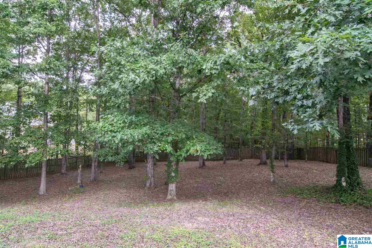 907 Timberline Circle Calera, AL 35040 - Photo 44 of 50