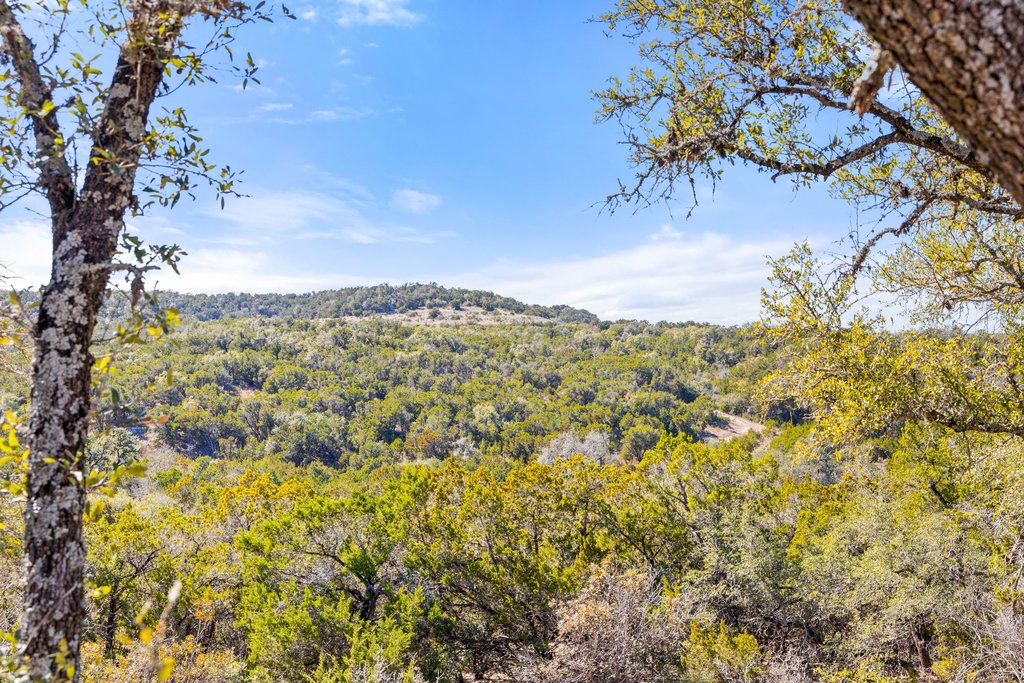10904 Rawhide Trail Austin, TX 78736 - Photo 32 of 37 a view of a large yard with lots of plants and trees