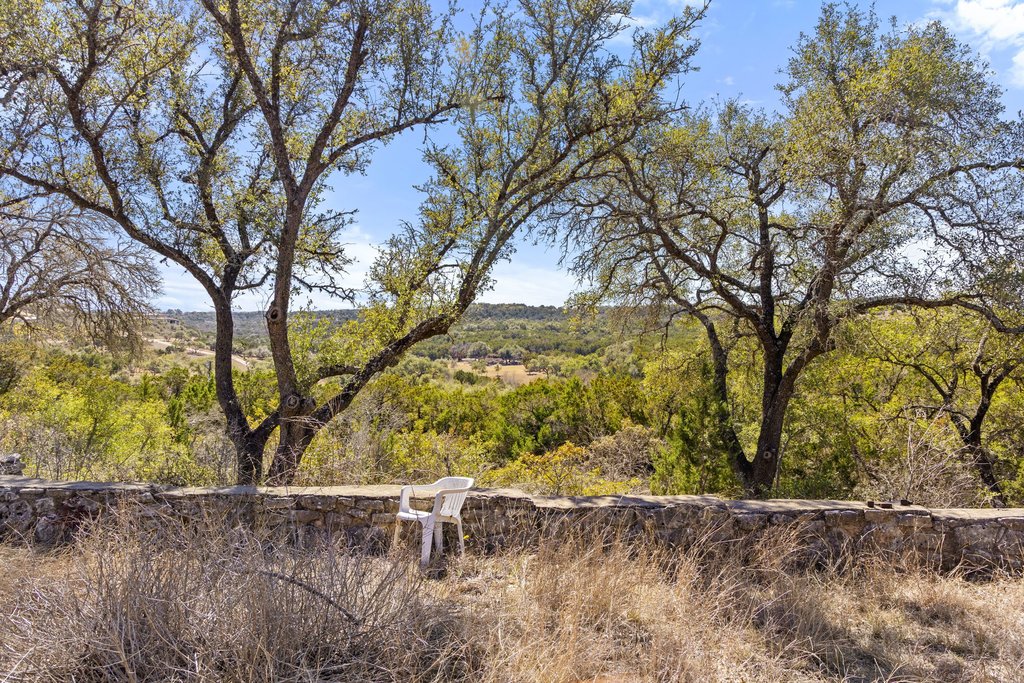 10904 Rawhide Trail Austin, TX 78736 - Photo 34 of 37 a view of a yard with a tree