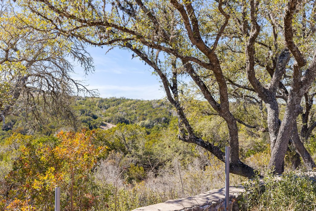 10904 Rawhide Trail Austin, TX 78736 - Photo 35 of 37 a view of a yard with a tree