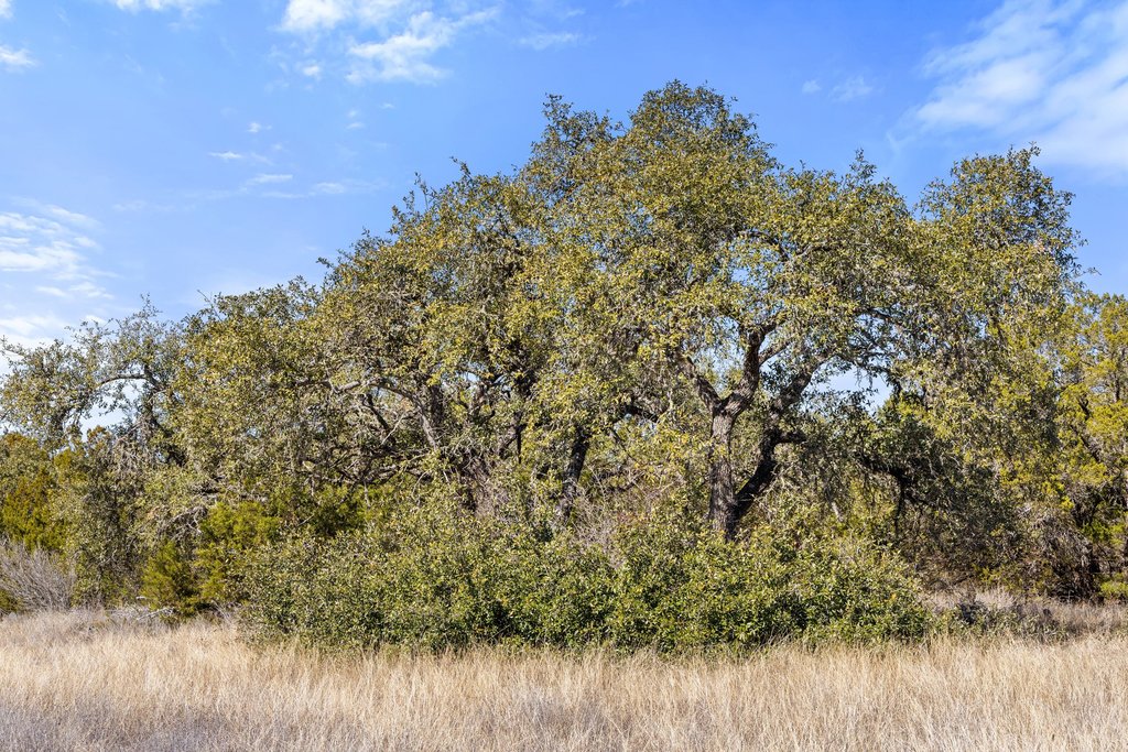 10904 Rawhide Trail Austin, TX 78736 - Photo 37 of 37 a view of a lake with houses in the background