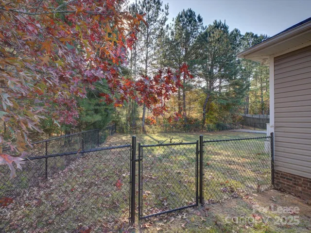 a view of a small yard