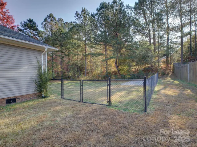 a view of backyard with tree