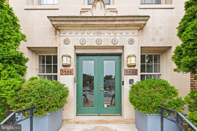 a view of building with potted plant