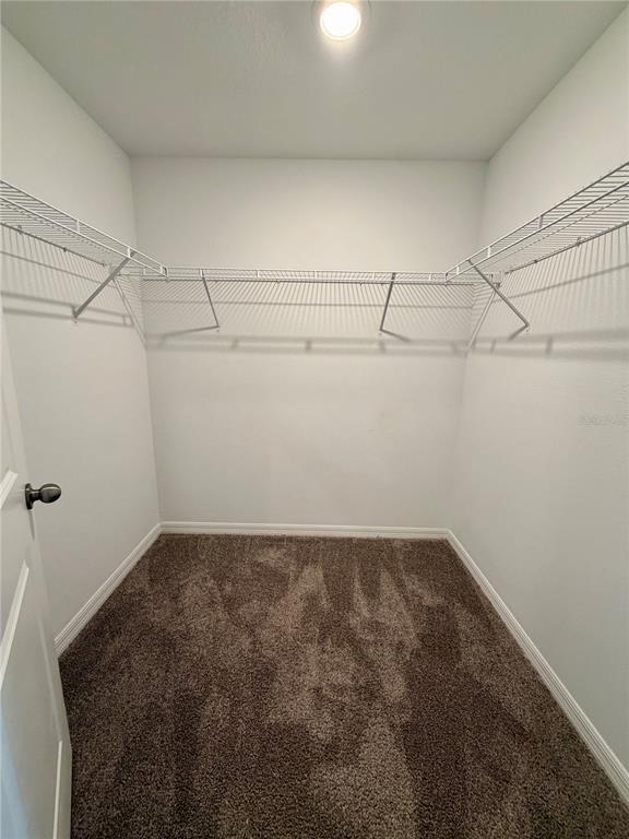 11826 Dumaine Valley Road Riverview, FL 33579 - Photo 31 of 54 a view of a room with racks on the wall
