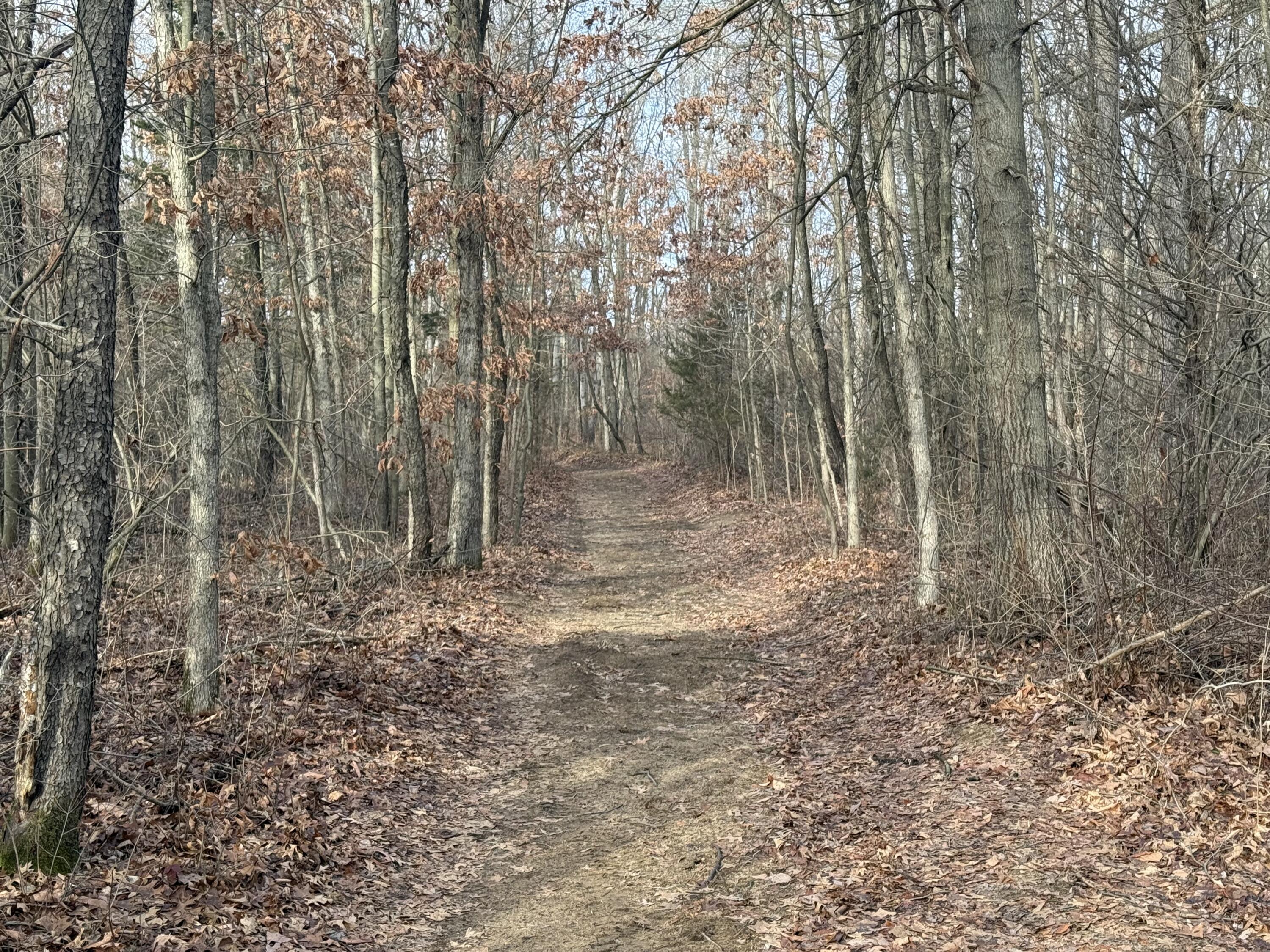 42745 Harris Road Belleville, MI 48111 - Photo 11 of 28 y40