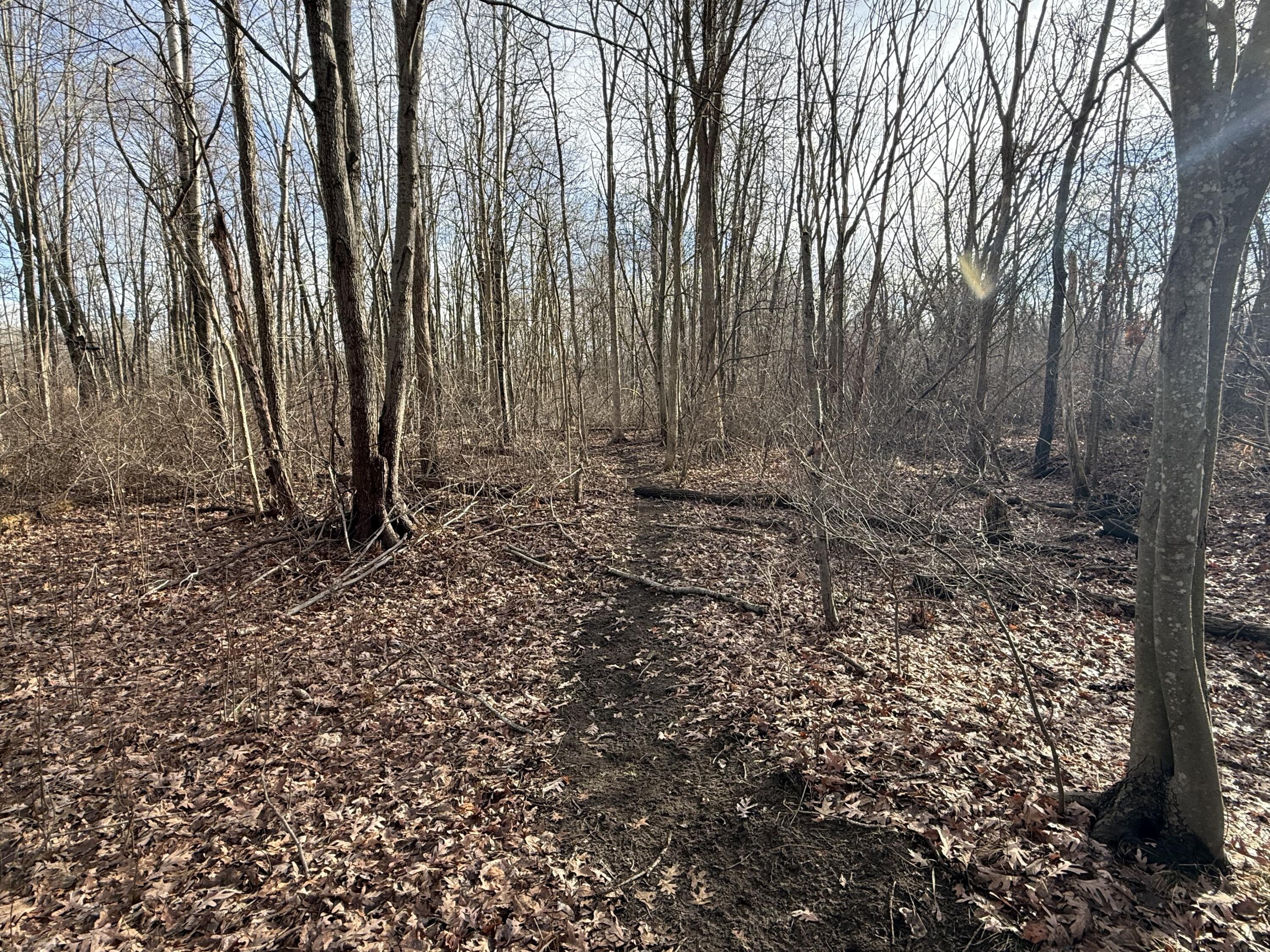 42745 Harris Road Belleville, MI 48111 - Photo 12 of 28 y42