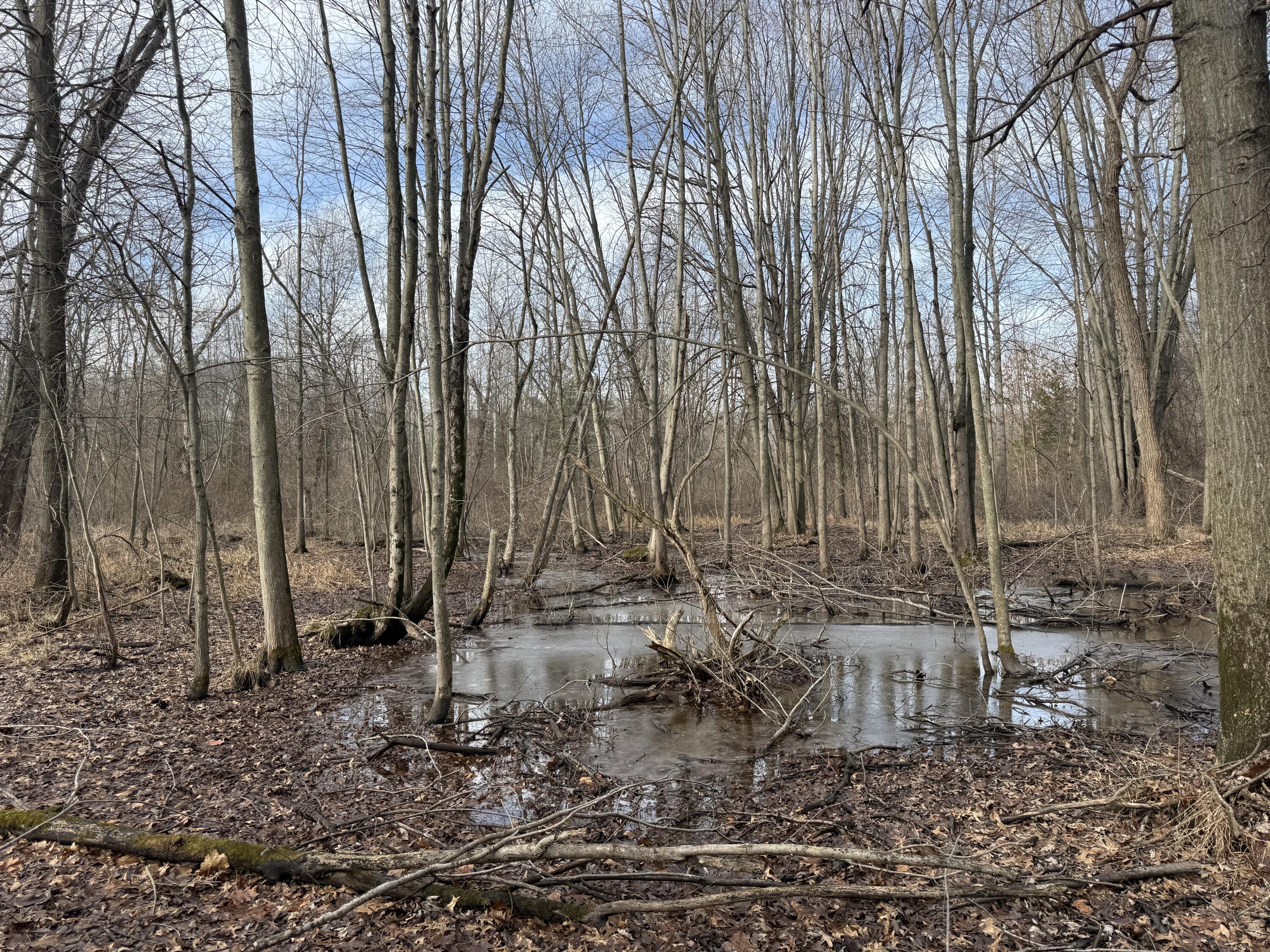 42745 Harris Road Belleville, MI 48111 - Photo 13 of 28 y25