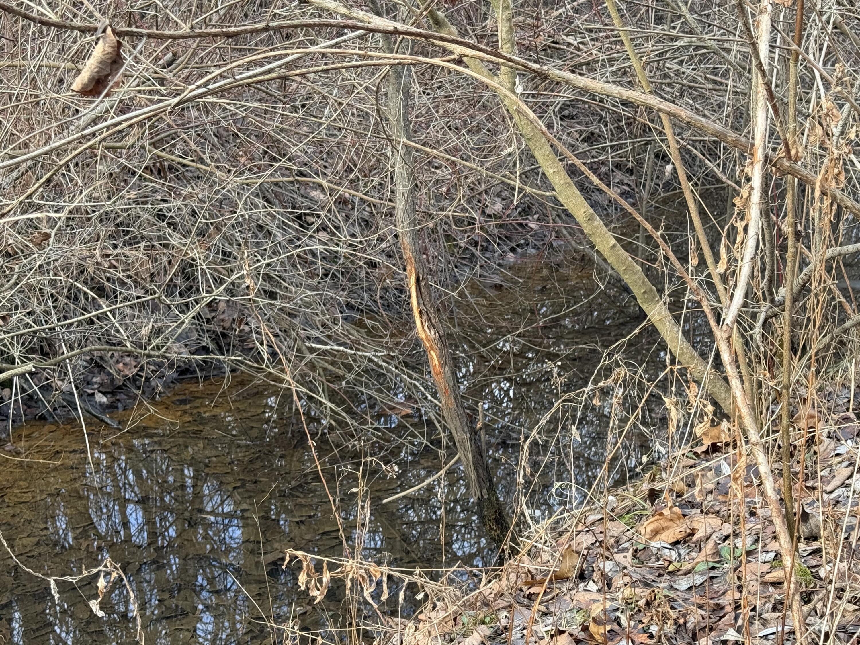 42745 Harris Road Belleville, MI 48111 - Photo 14 of 28 y32