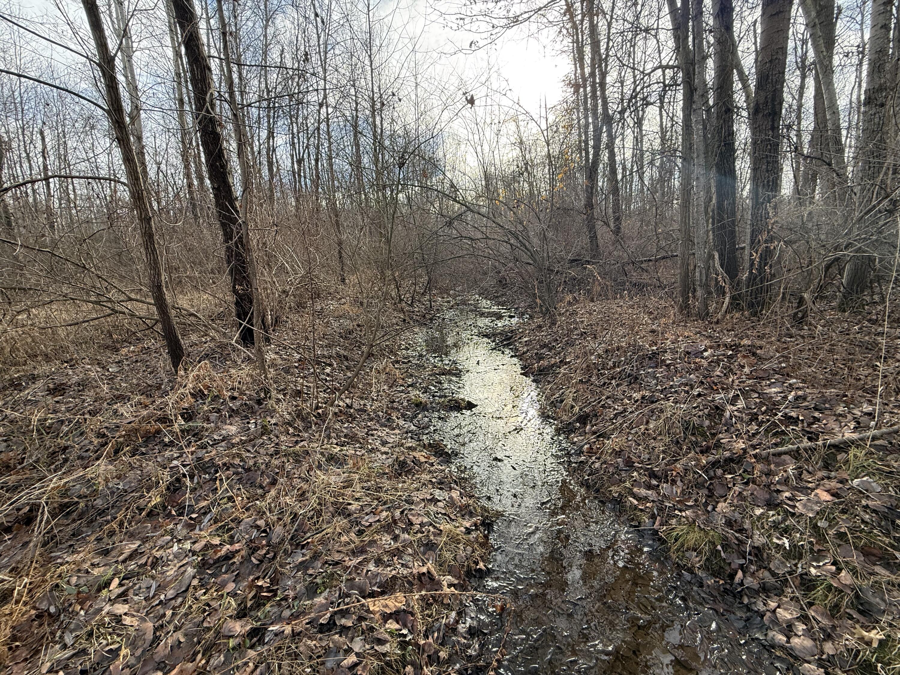 42745 Harris Road Belleville, MI 48111 - Photo 15 of 28 y34