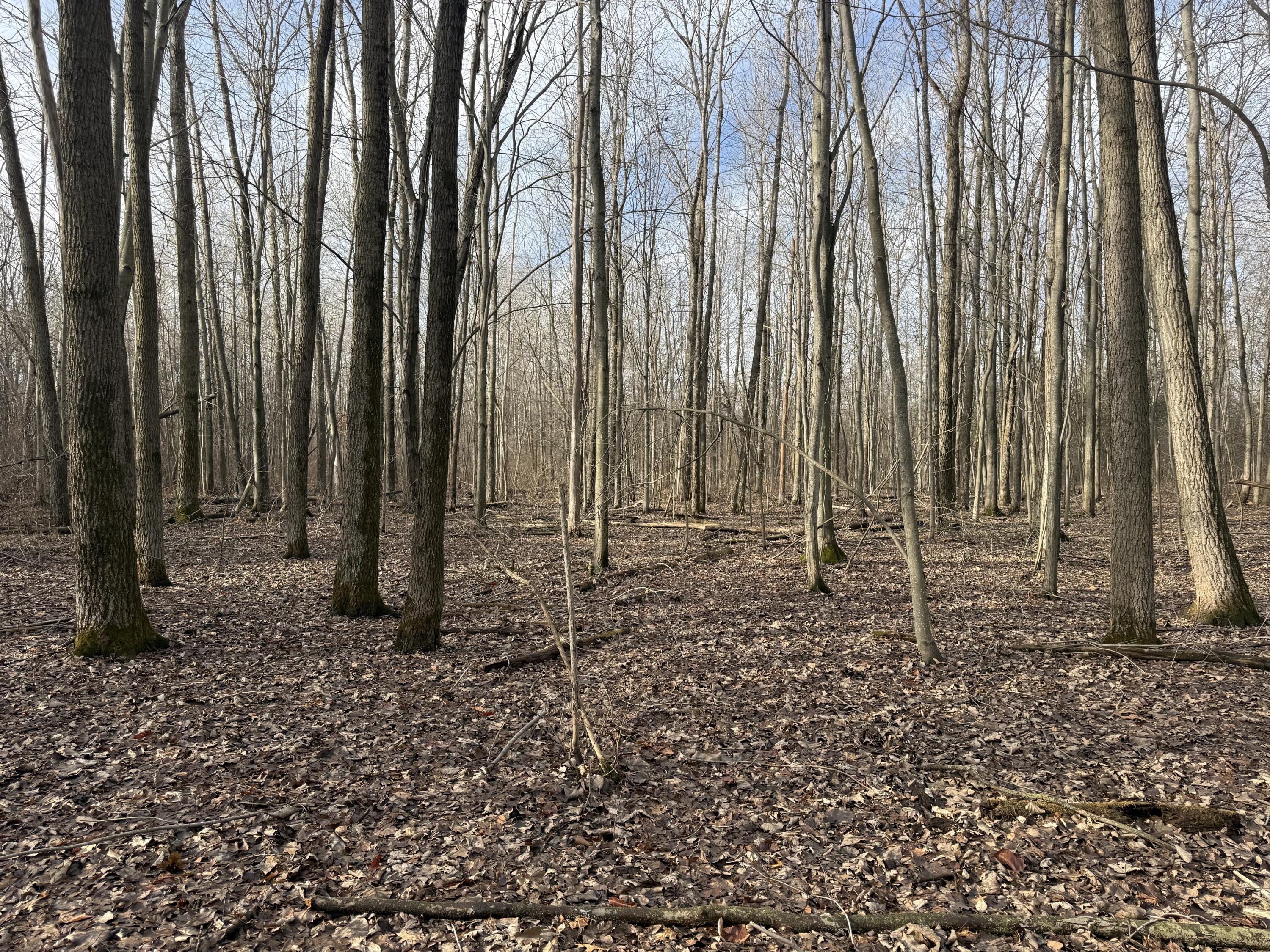 42745 Harris Road Belleville, MI 48111 - Photo 16 of 28 y29