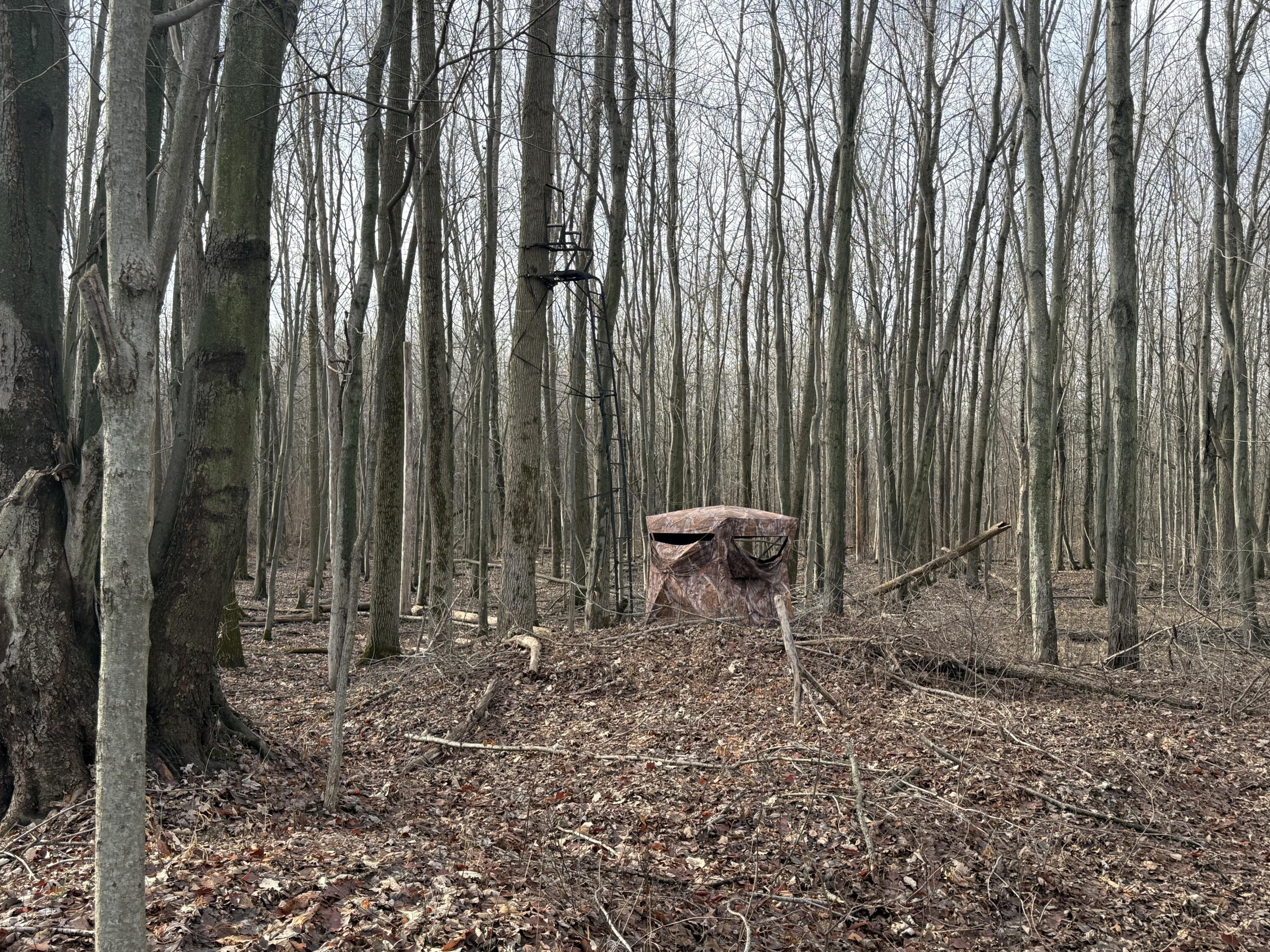 42745 Harris Road Belleville, MI 48111 - Photo 17 of 28 y30