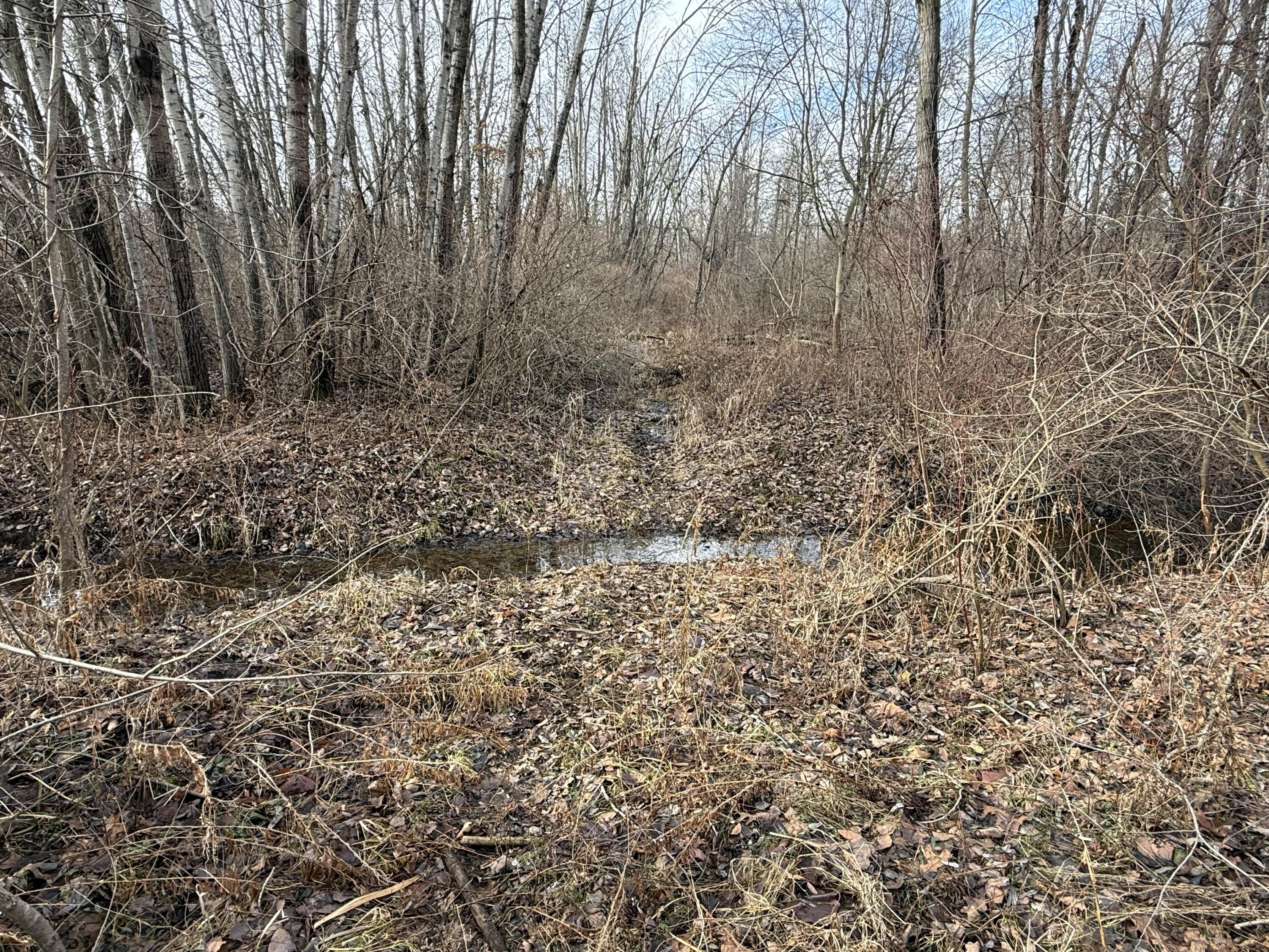 42745 Harris Road Belleville, MI 48111 - Photo 18 of 28 y31