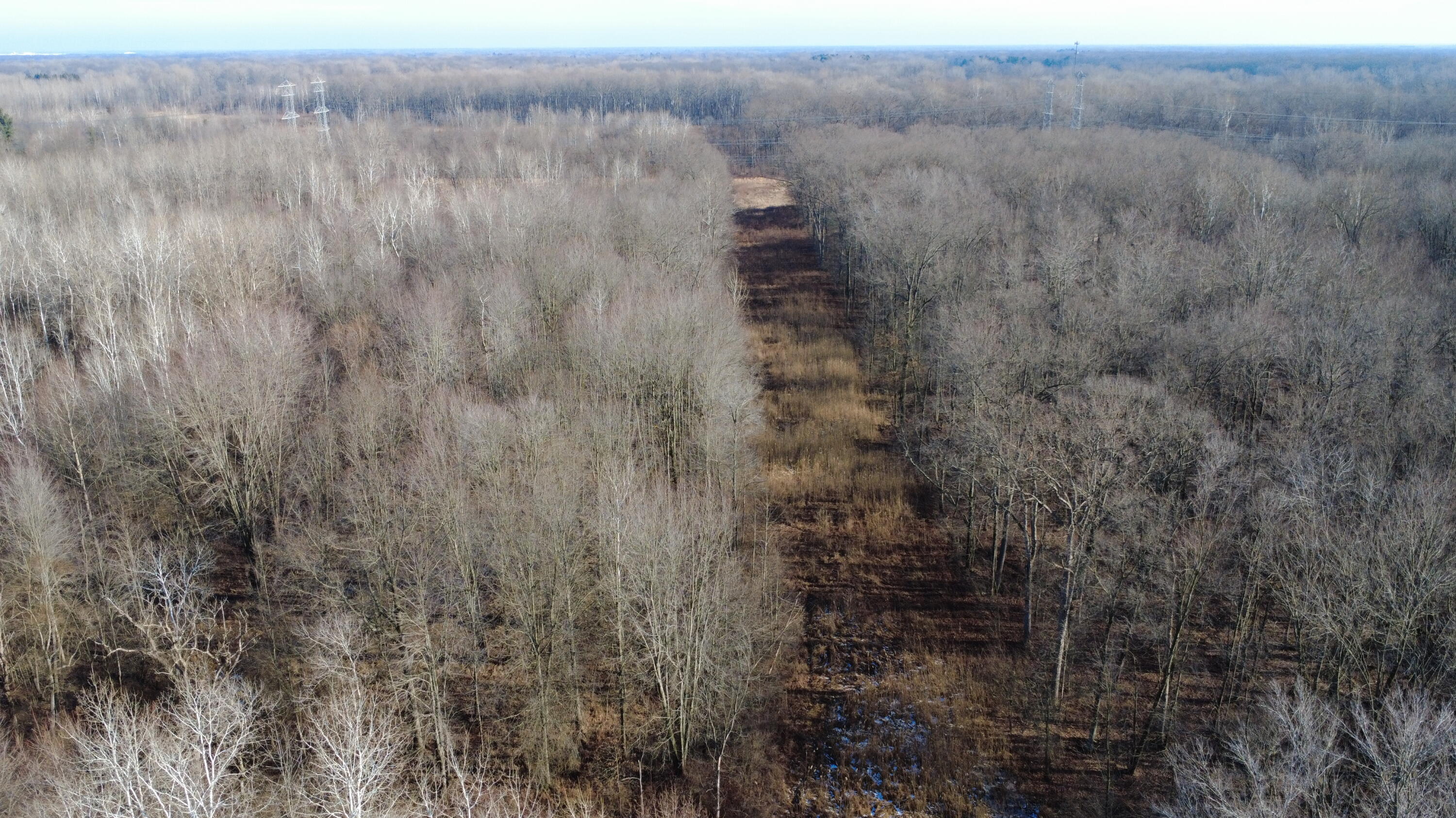 42745 Harris Road Belleville, MI 48111 - Photo 23 of 28 D19