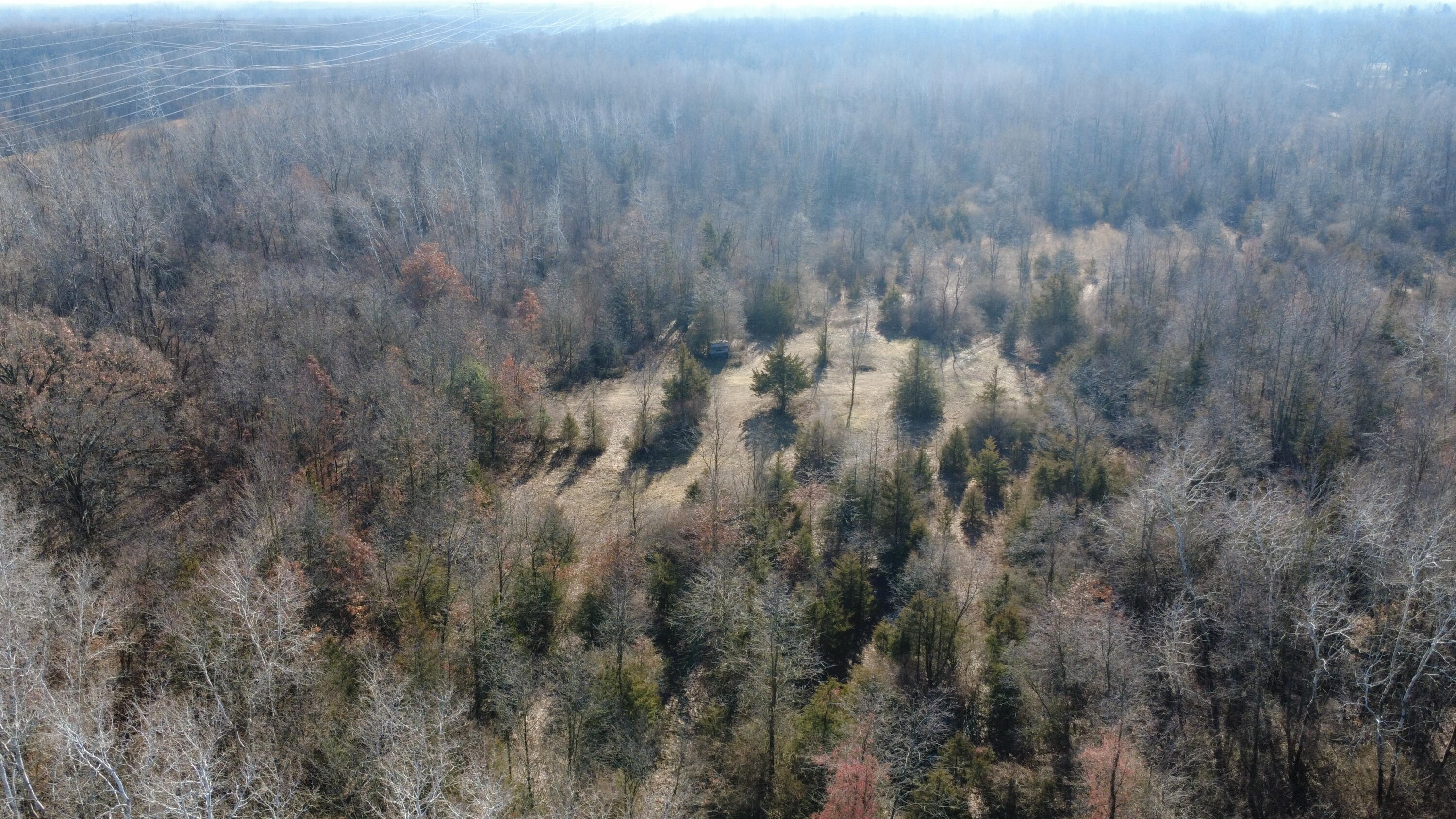 42745 Harris Road Belleville, MI 48111 - Photo 4 of 28 D4