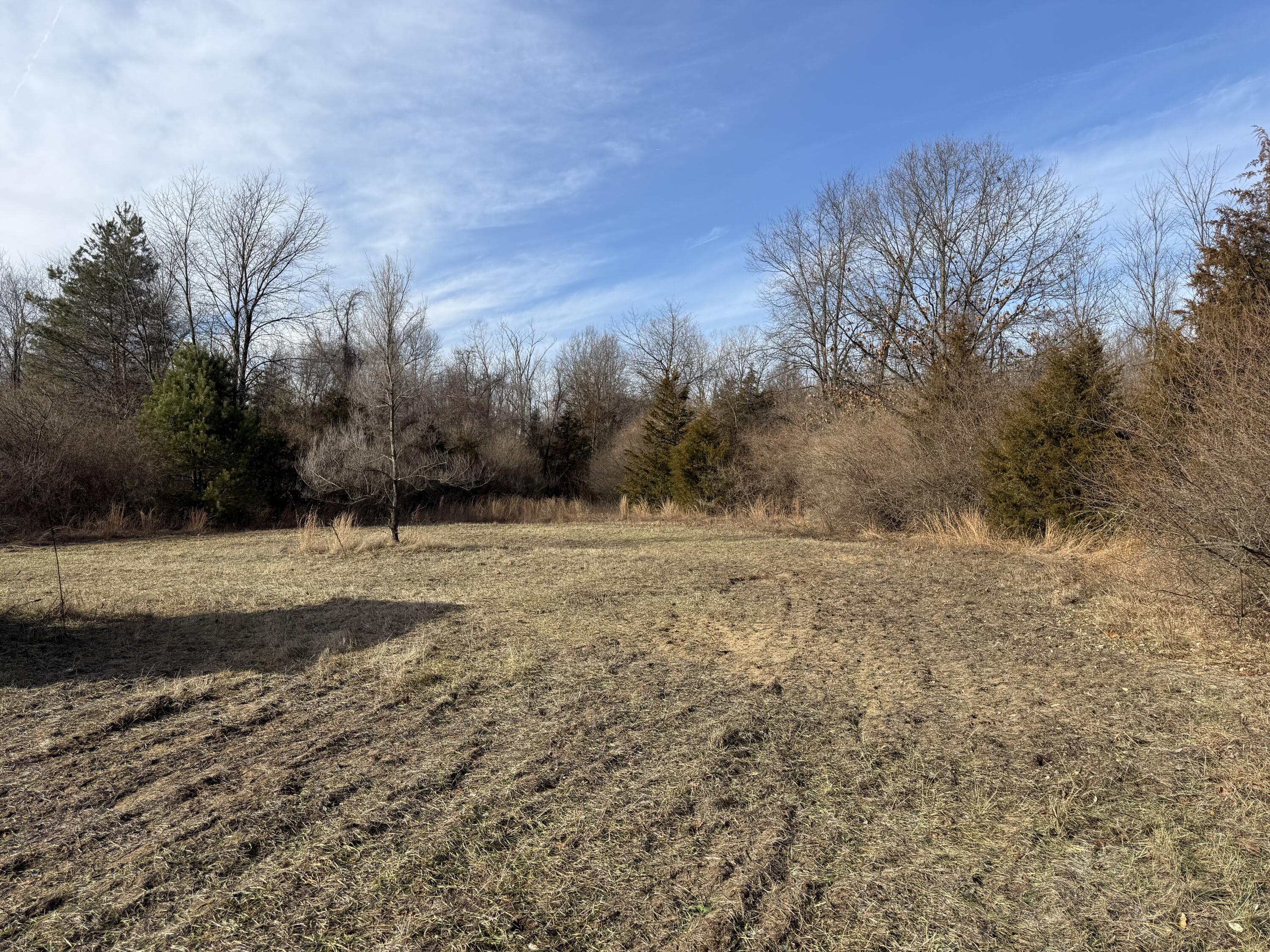 42745 Harris Road Belleville, MI 48111 - Photo 6 of 28 y3