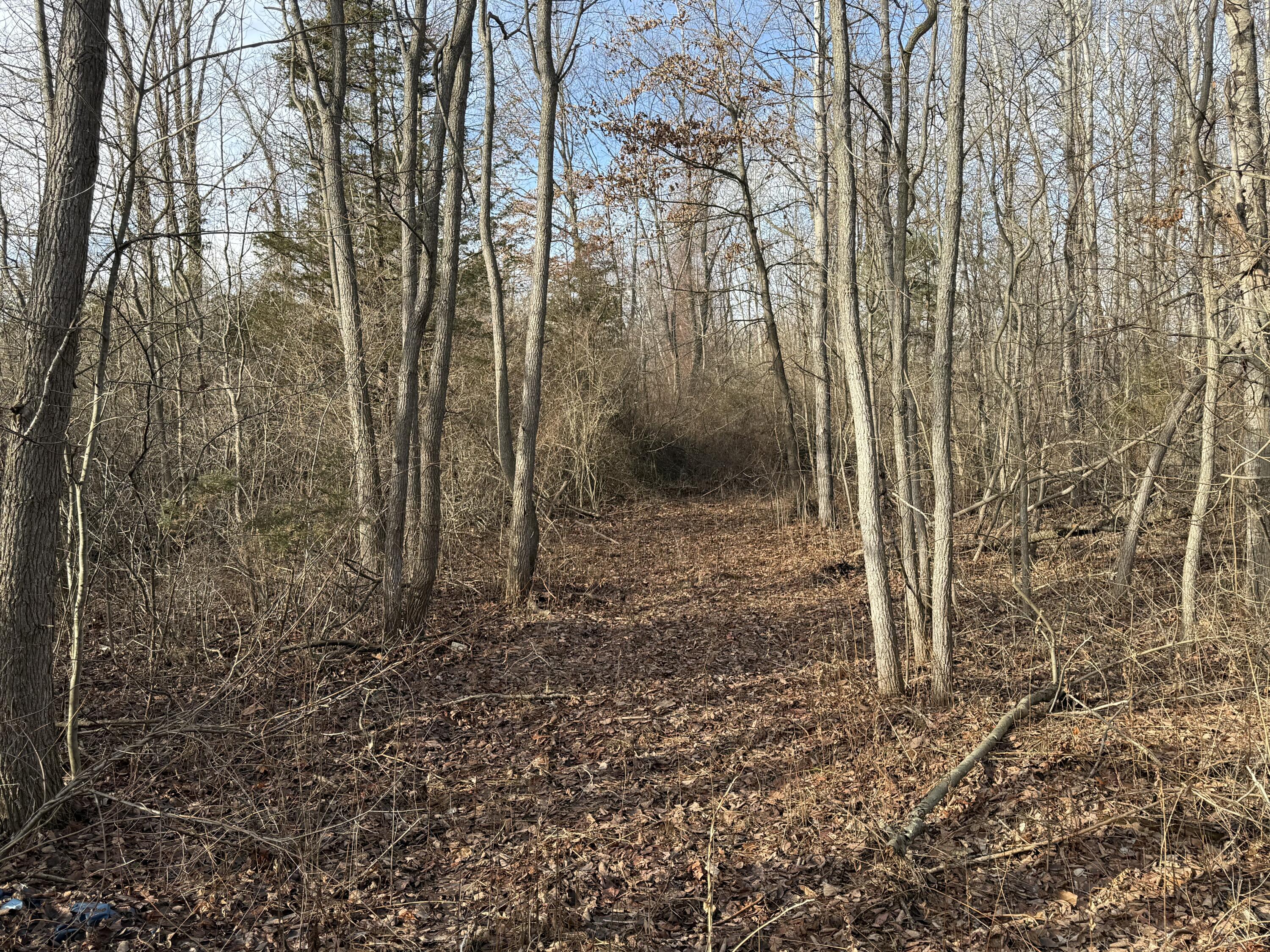 42745 Harris Road Belleville, MI 48111 - Photo 7 of 28 y1