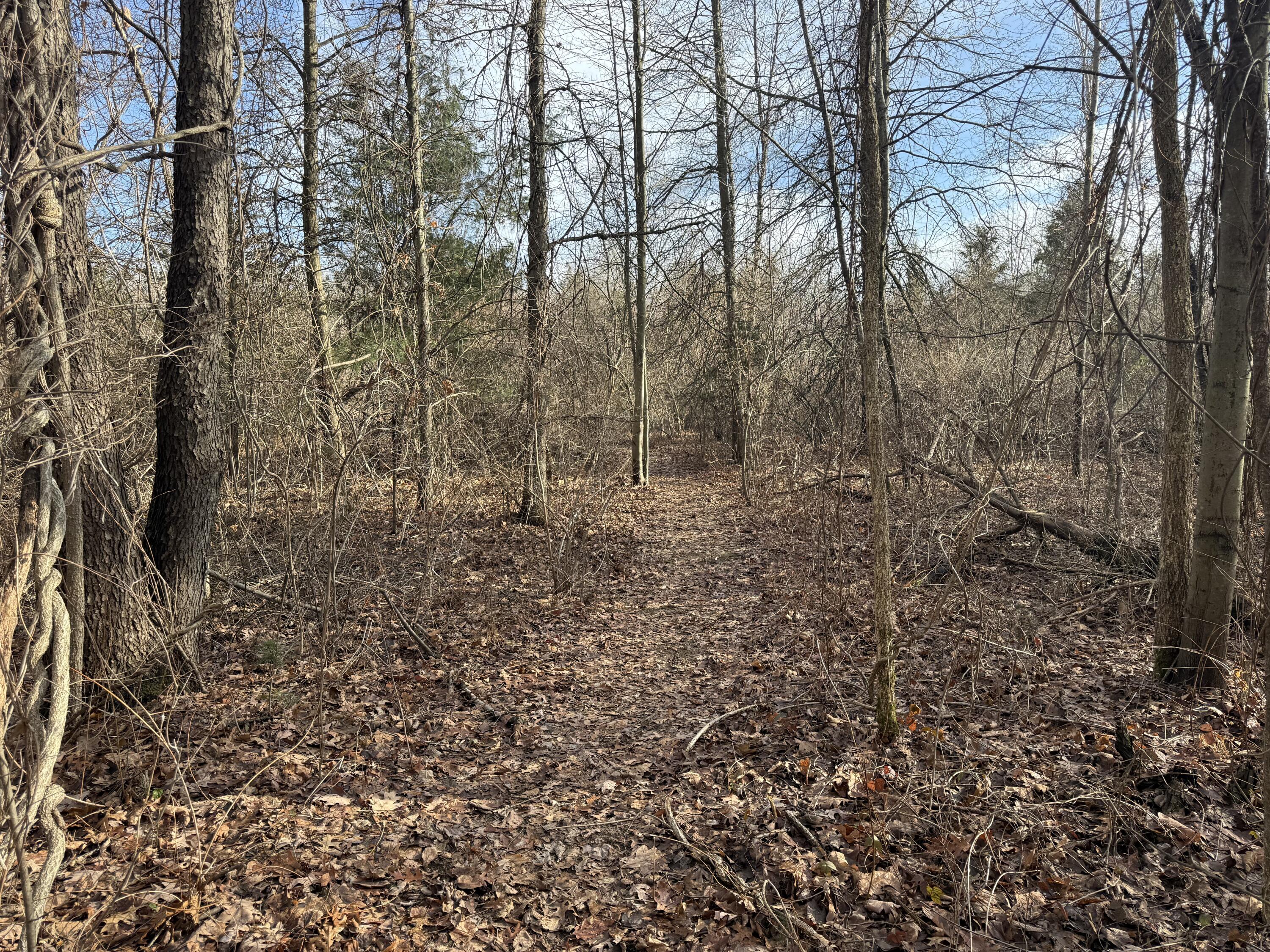 42745 Harris Road Belleville, MI 48111 - Photo 8 of 28 y19