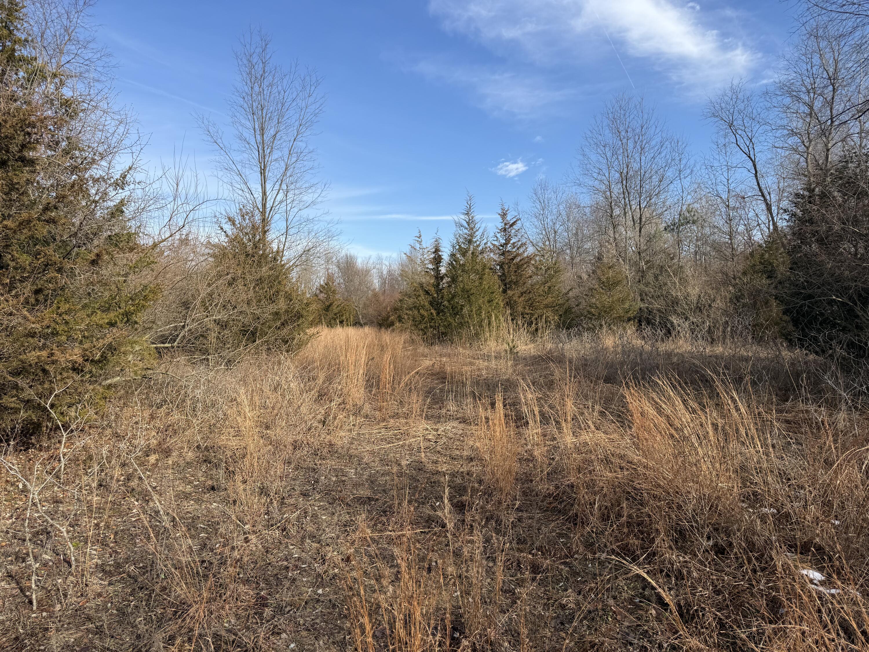 42745 Harris Road Belleville, MI 48111 - Photo 9 of 28 y9