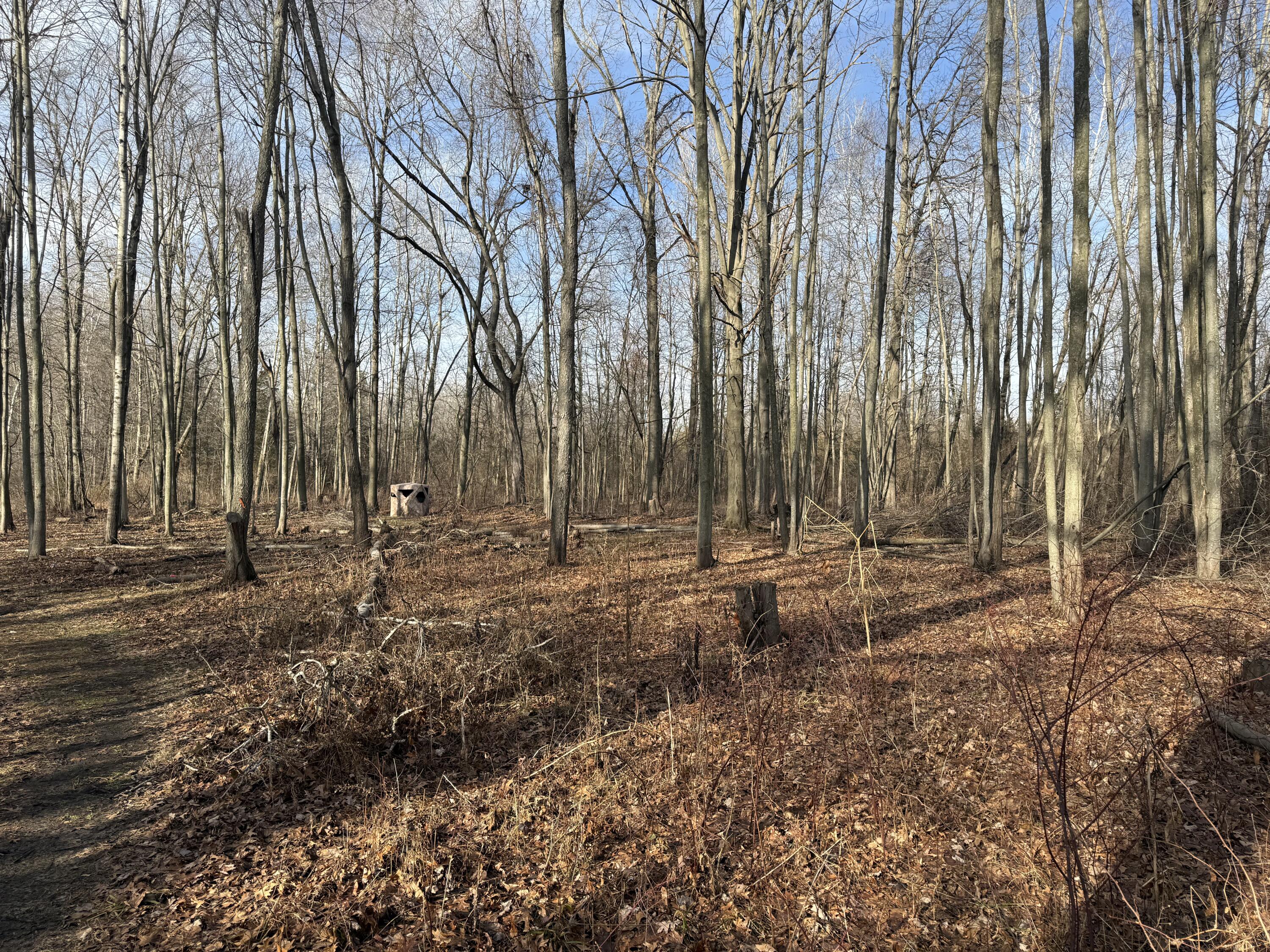 42745 Harris Road Belleville, MI 48111 - Photo 10 of 28 y16