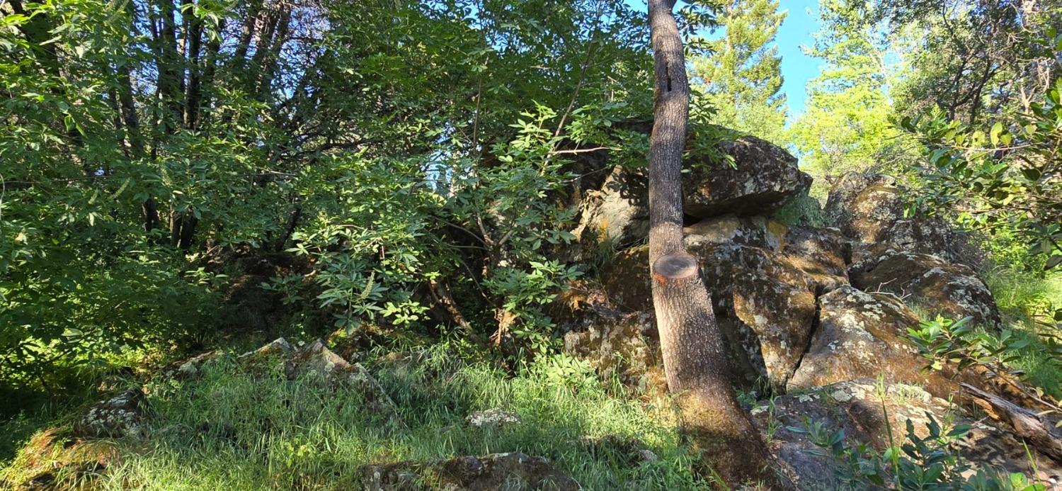 0 2059 Bell Road Auburn, CA 95603 - Photo 20 of 40