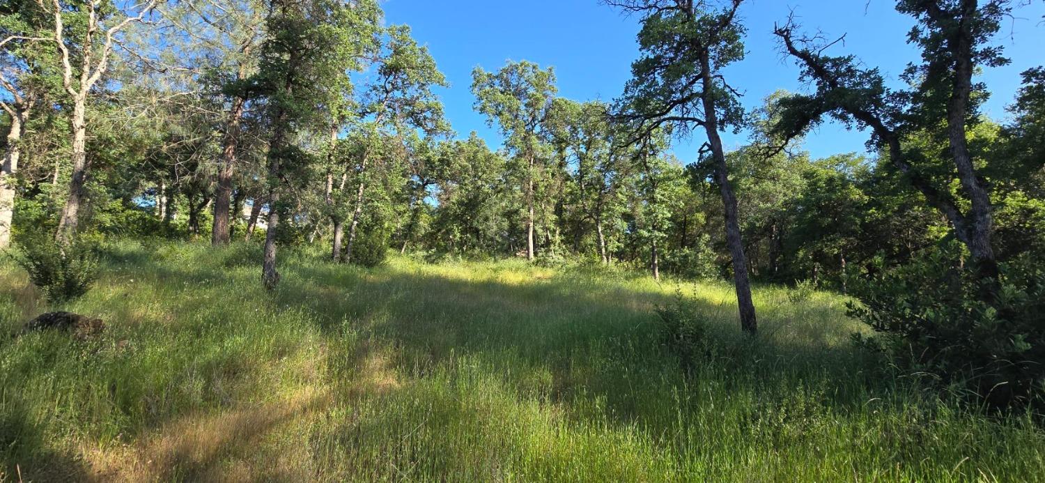 0 2059 Bell Road Auburn, CA 95603 - Photo 24 of 40