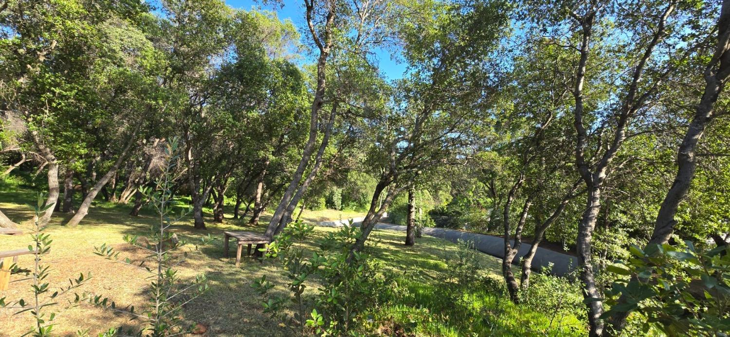 0 2059 Bell Road Auburn, CA 95603 - Photo 28 of 40