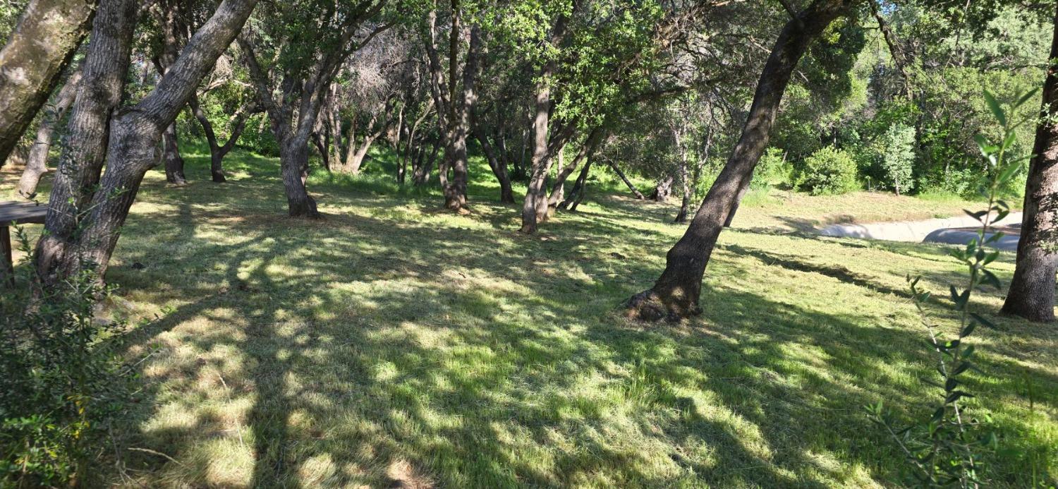 0 2059 Bell Road Auburn, CA 95603 - Photo 35 of 40