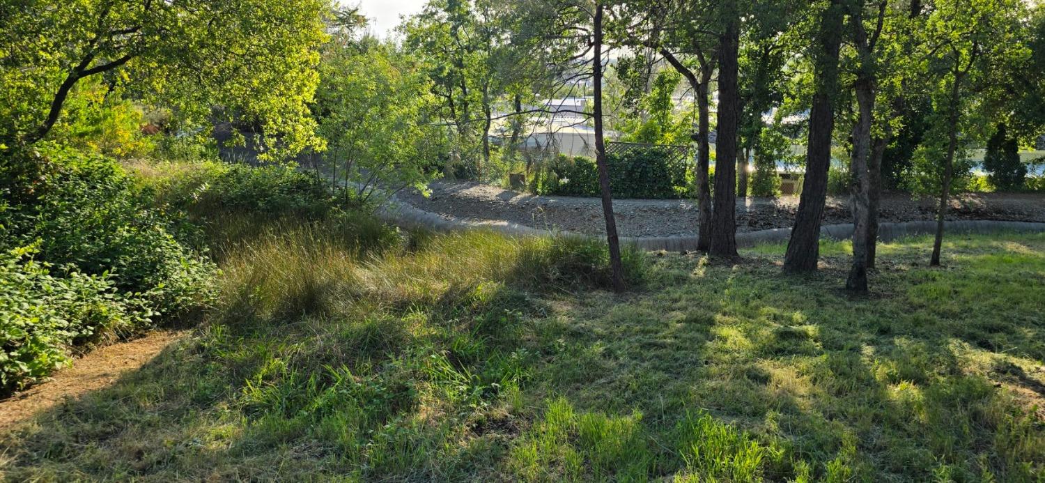 0 2059 Bell Road Auburn, CA 95603 - Photo 39 of 40