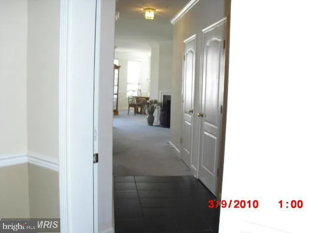 a living room with a fireplace and a potted plant