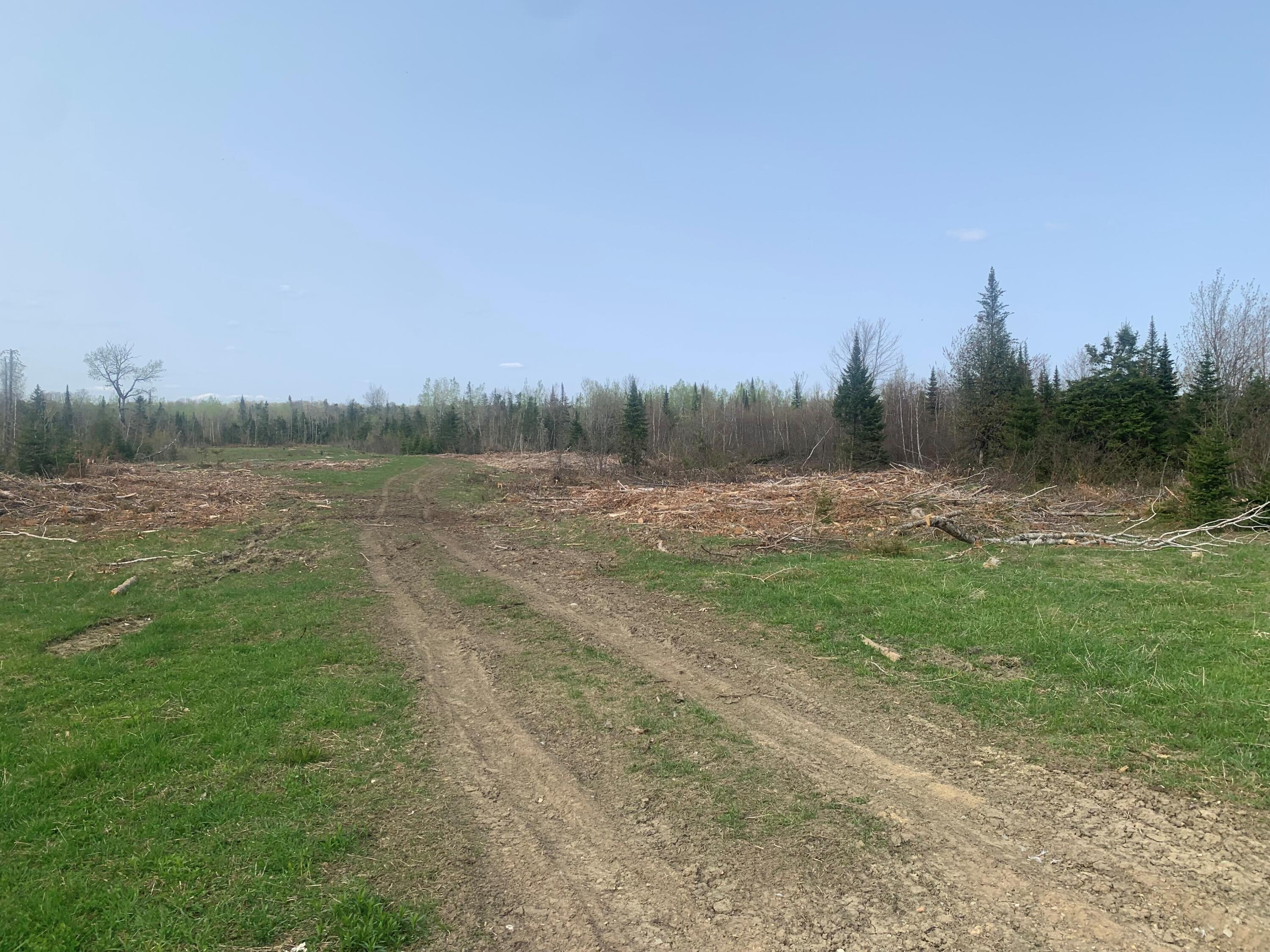 0 Townline Road Merrill, ME 04780 - Photo 4 of 21 MLS4