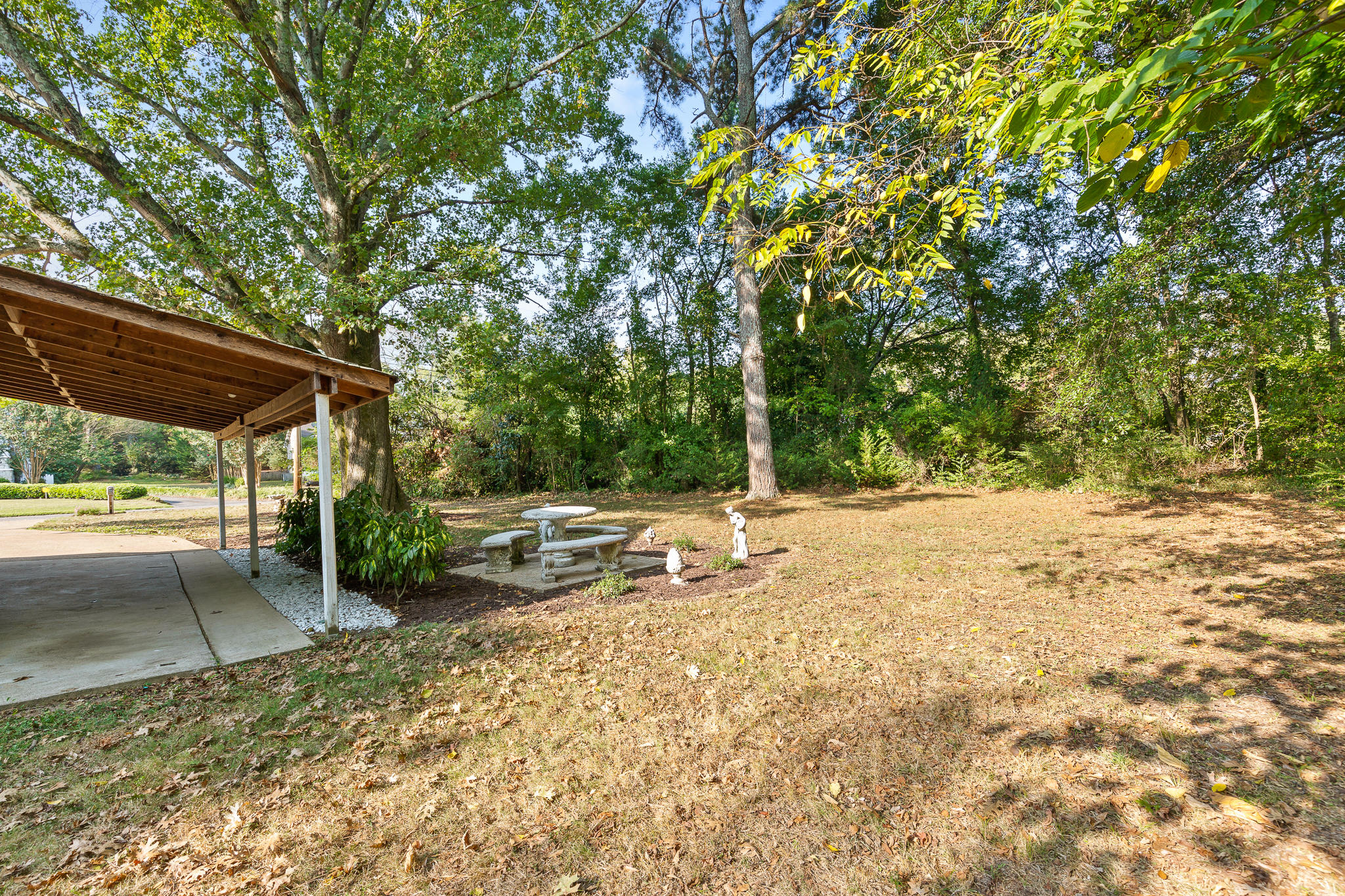 205 Bass Road Chattanooga, TN 37421 - Photo 6 of 32 Side yard
