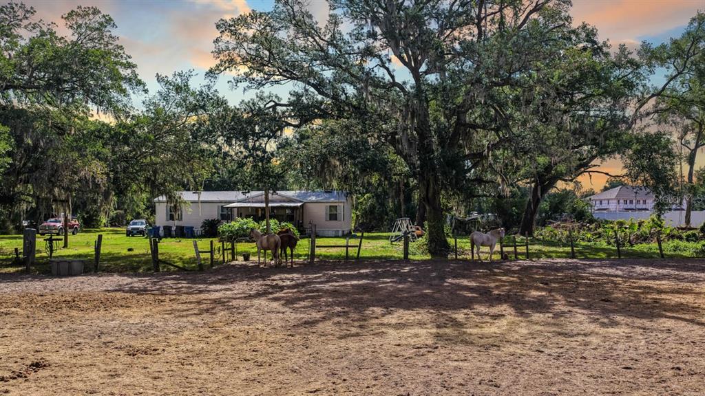 5614 Watson Road Riverview, FL 33578 - Photo 3 of 6 a view of park with bench and trees