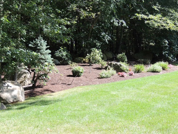 77 Hampton Road Sharon, MA 02067 - Photo 5 of 8