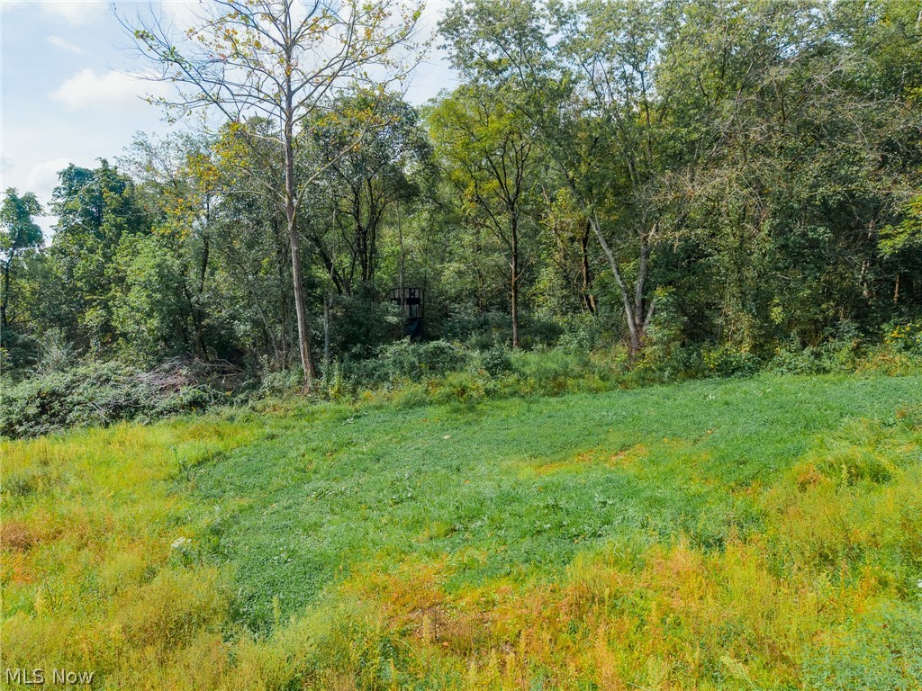 37500 Goose Run Road Dexter City, OH 45727 - Photo 21 of 50 Gallery Image 21