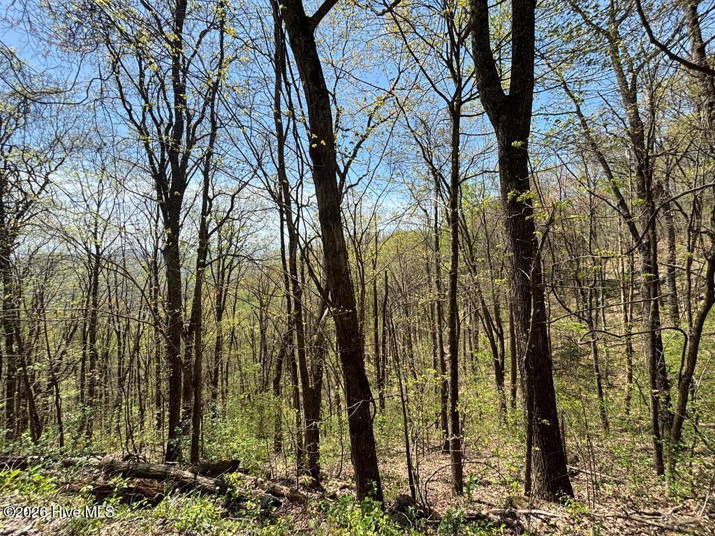 Lot 4 Outlook Road Murphy, NC 28906 - Photo 9 of 10