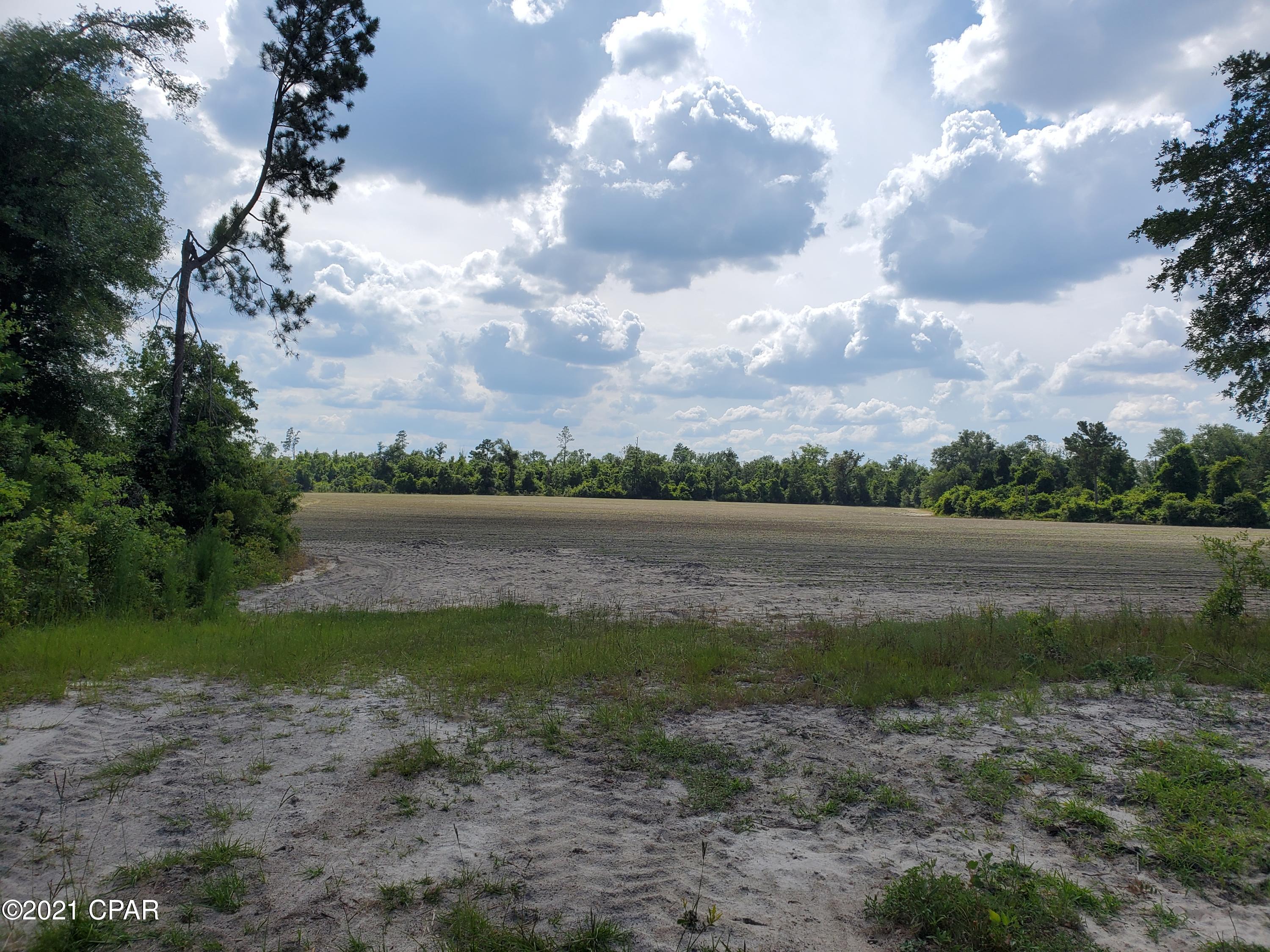 Xxx Bateau Pond Road Grand Ridge, FL 32442 - Photo 6 of 8
