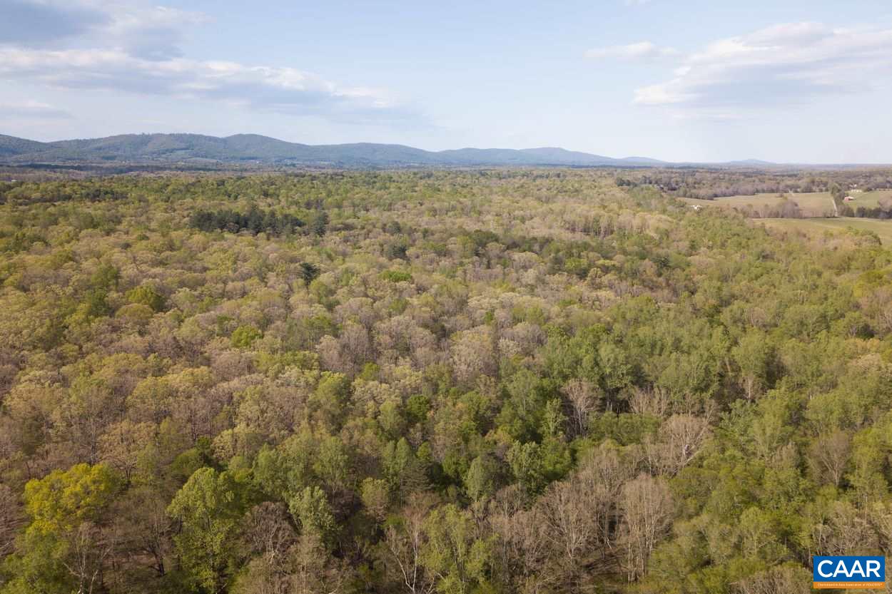 13 Grey Heron Road Keswick, VA 22947 - Photo 15 of 16 Gallery Image 15