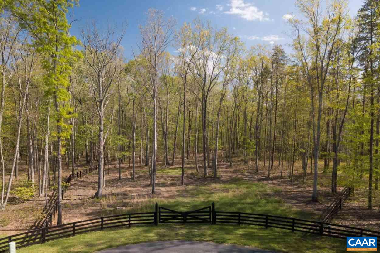 13 Grey Heron Road Keswick, VA 22947 - Photo 6 of 16 Gallery Image 6