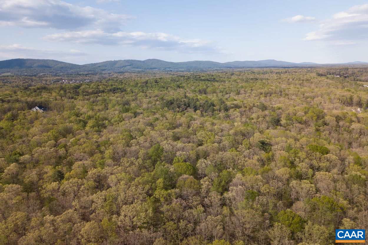 13 Grey Heron Road Keswick, VA 22947 - Photo 7 of 16 Gallery Image 7