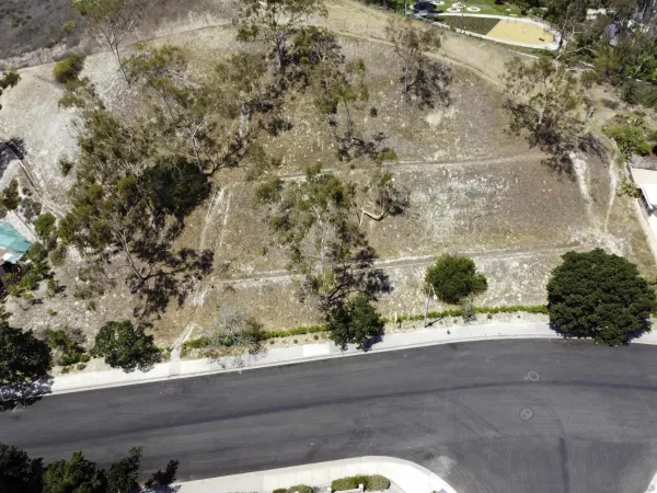 a view of a yard with a tree