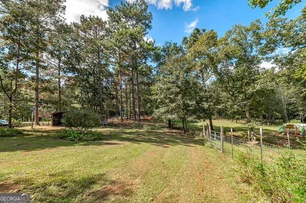 a view of a yard with a tree