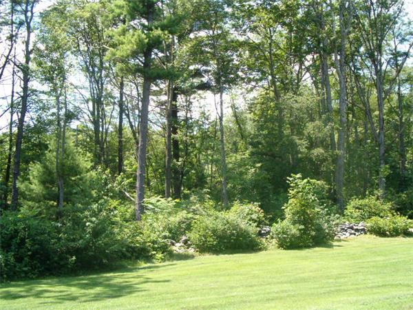 197 Fisherdick Road Ware, MA 01082 - Photo 8 of 30 a view of a yard with a tree