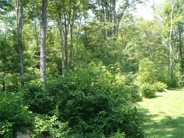 197 Fisherdick Road Ware, MA 01082 - Photo 9 of 30 a view of a lush green forest
