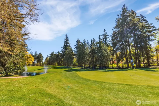 a view of a basket ball ground