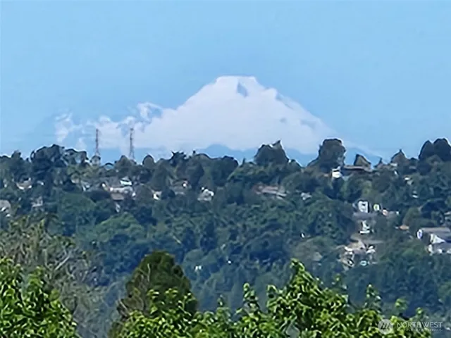 a view of a bunch of trees in a field