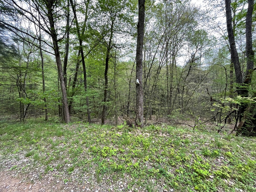 1470 Barden Brook Road Eldred, PA 16731 - Photo 7 of 8 Gallery Image 7